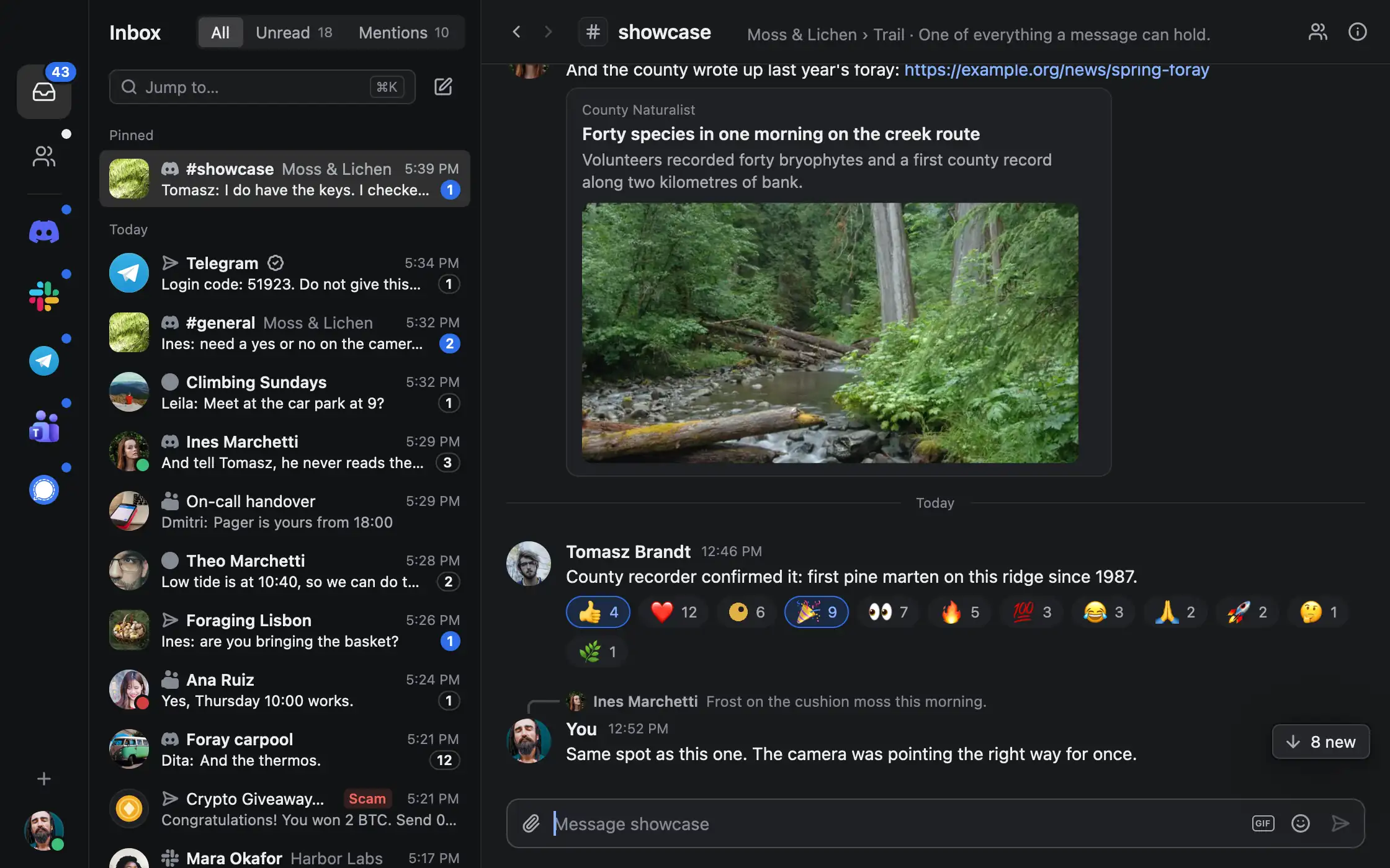 A Discord channel in tinyclient with a link preview showing a creek photo, and a message with a row of emoji reactions.